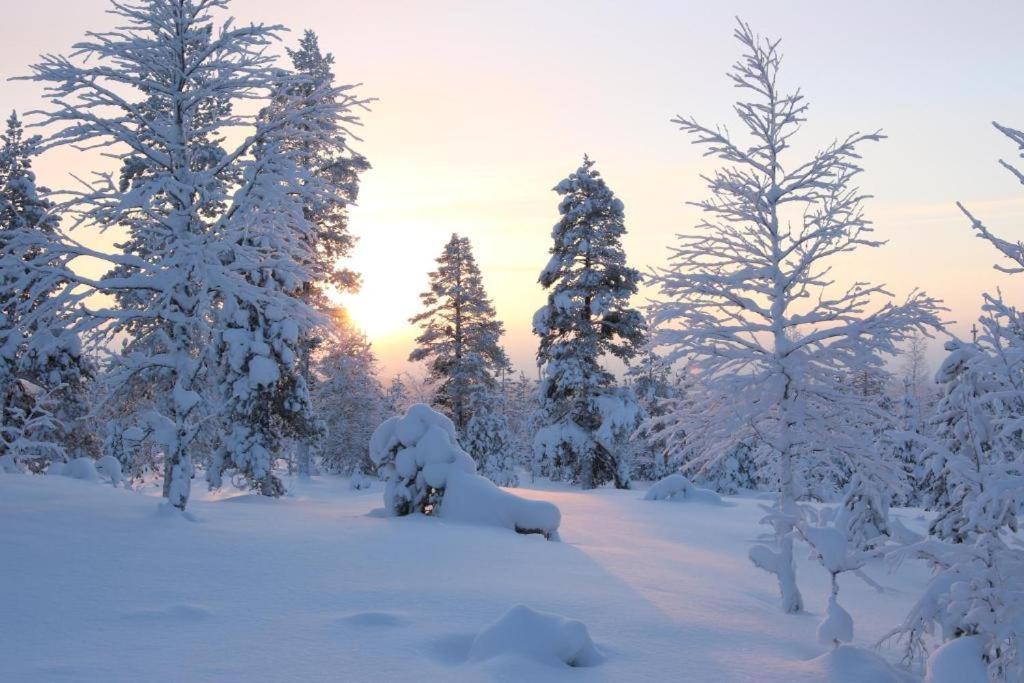 Kielo In Center Near All The Main Spots Rovaniemi Esterno foto