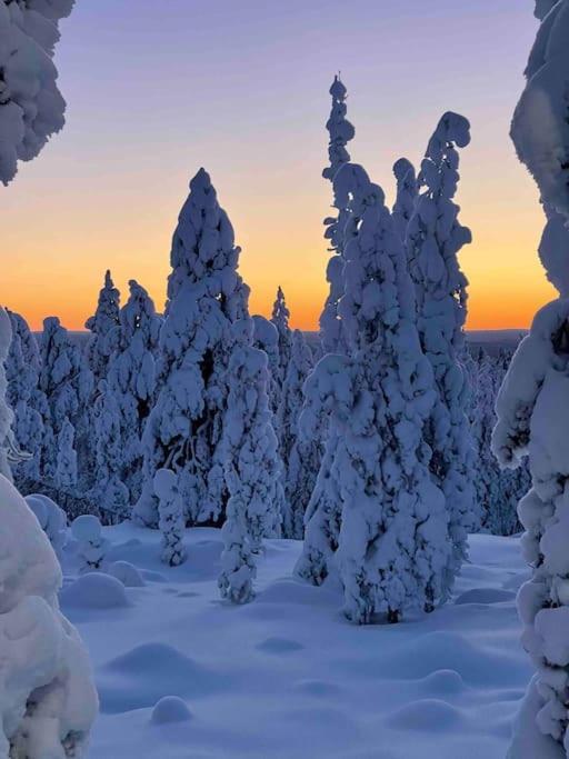 Kielo In Center Near All The Main Spots Rovaniemi Esterno foto